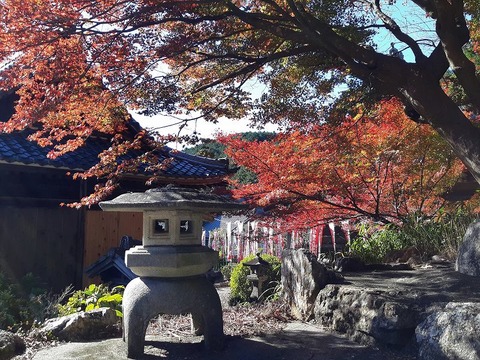 s-20201205_120838 (2)