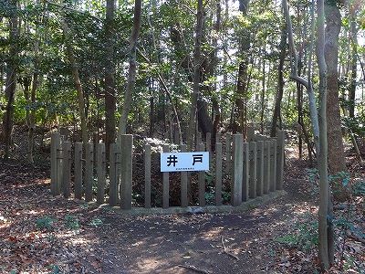 イメージ 8