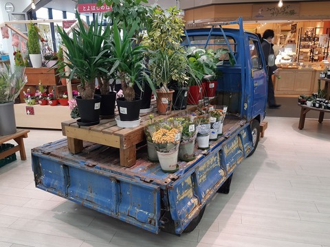 s-20211213_151156 (2)