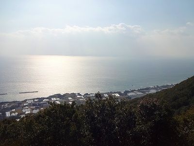 イメージ 6