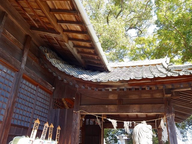 イメージ 6
