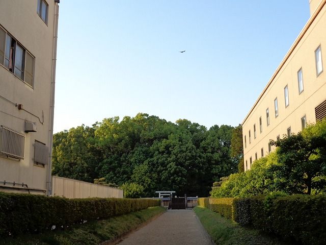 イメージ 10