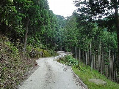 イメージ 9