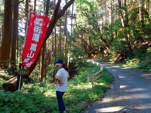 イメージ 7