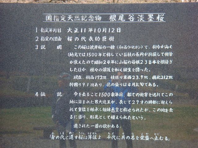 イメージ 14