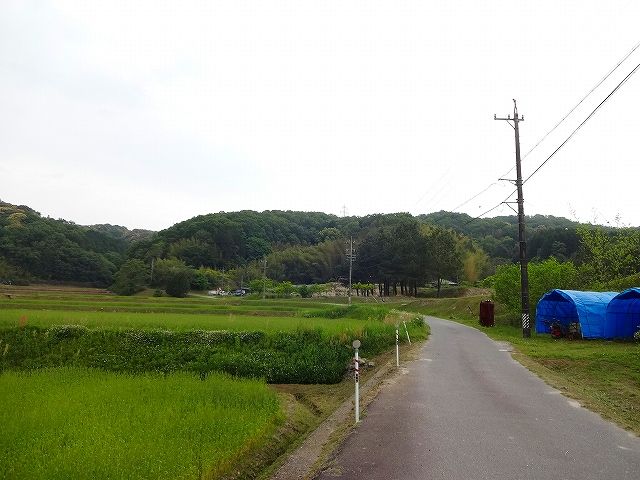 イメージ 1