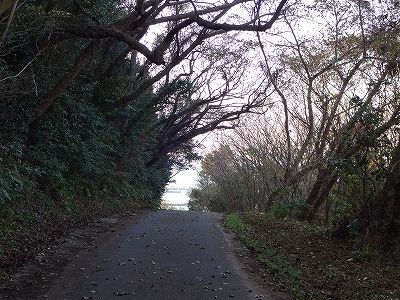 イメージ 15