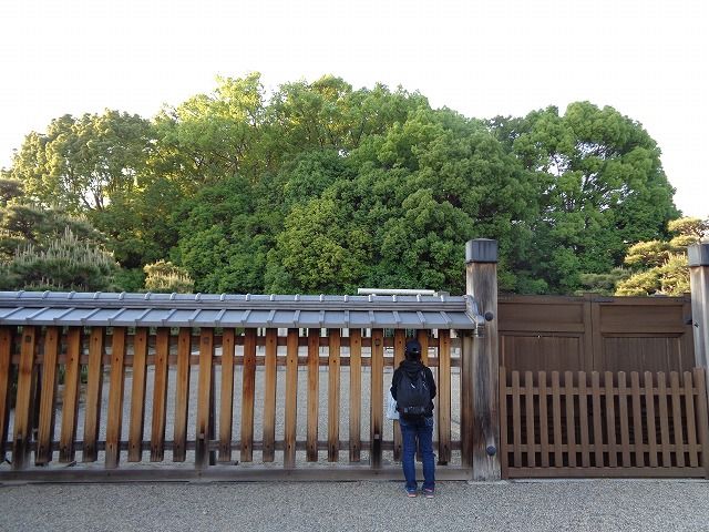 イメージ 12