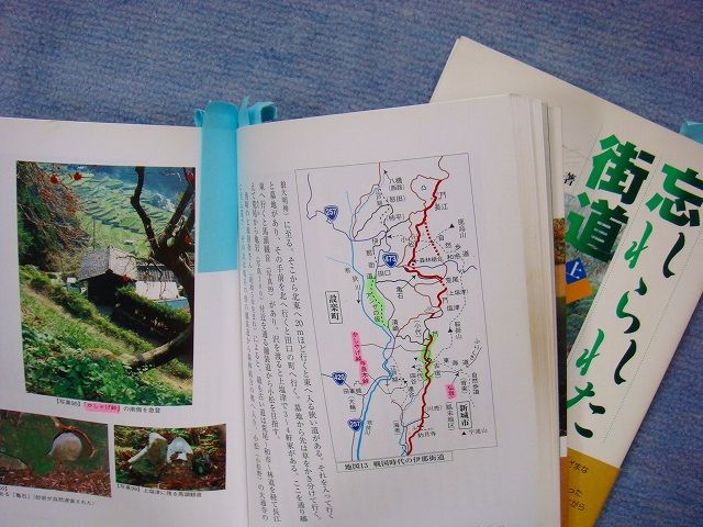 イメージ 7