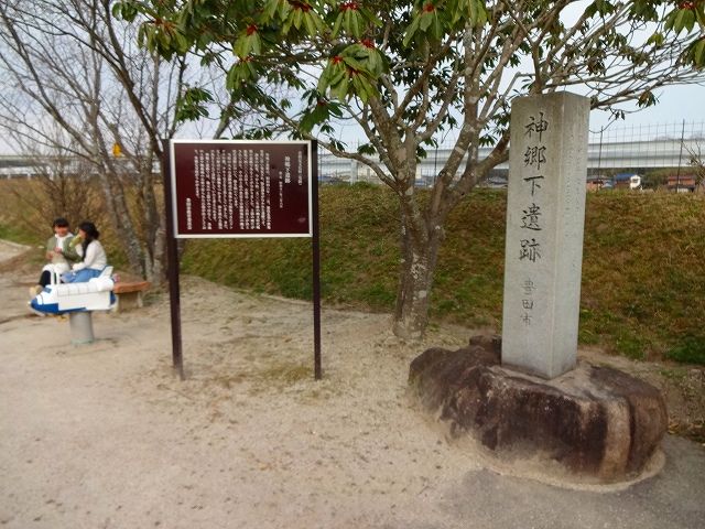 イメージ 18
