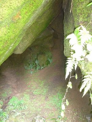 イメージ 12
