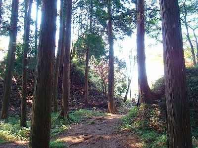 イメージ 16