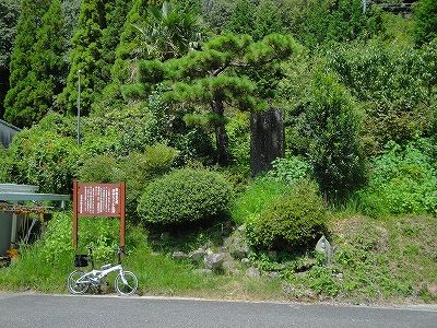 イメージ 3