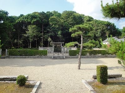 イメージ 7