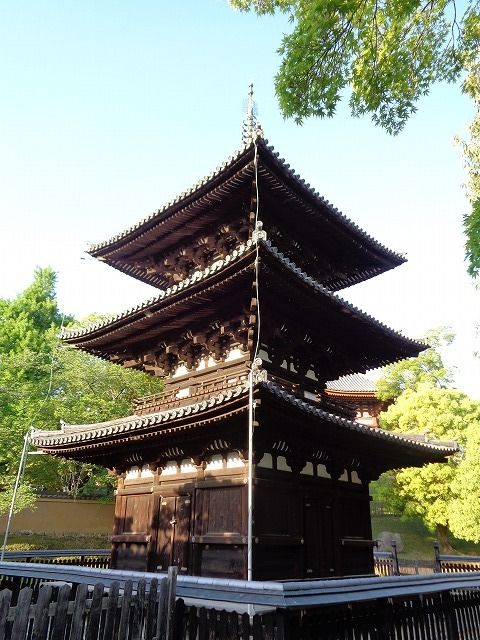 イメージ 8