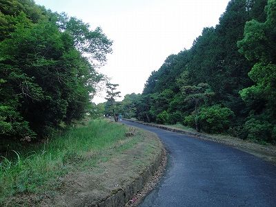 イメージ 10