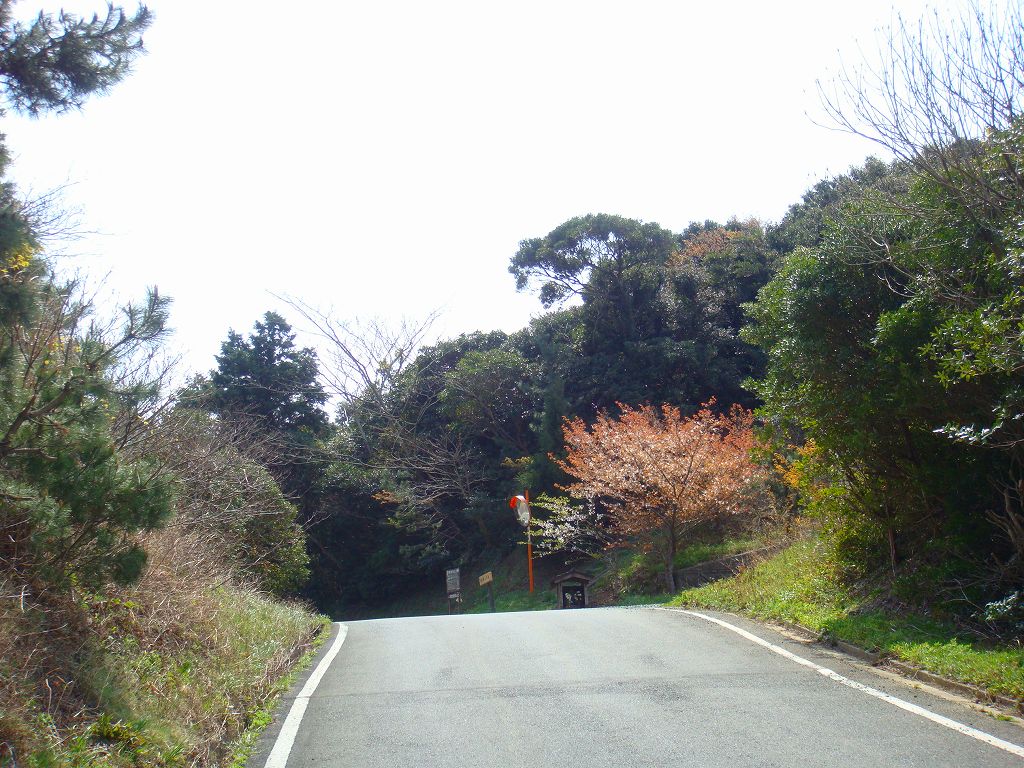 イメージ 4