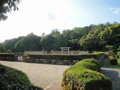 イメージ 12