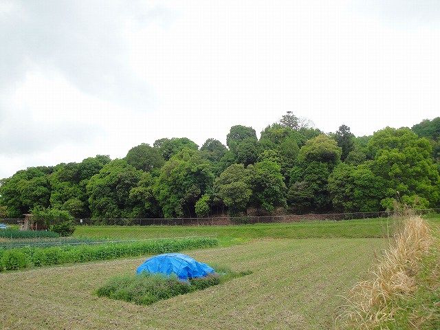 イメージ 8