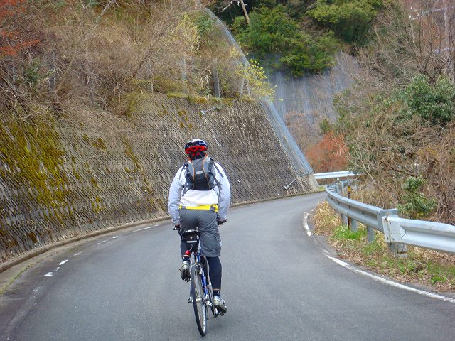 イメージ 7