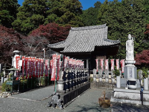 s-20201205_121035 (2)