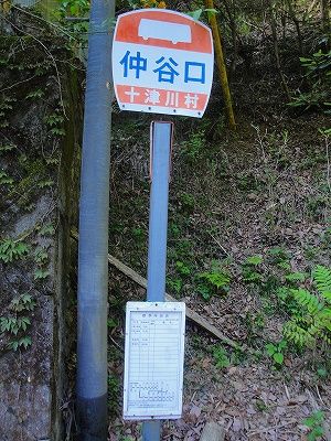 イメージ 7