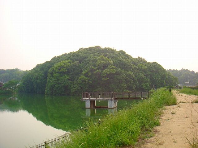 イメージ 10
