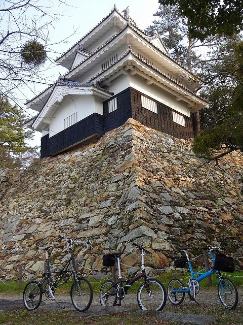 イメージ 8