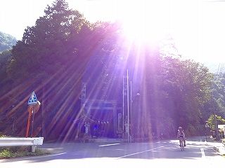 イメージ 16