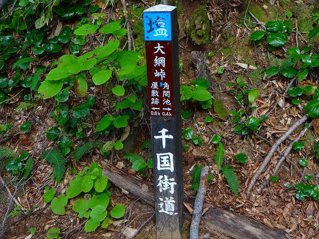 イメージ 10