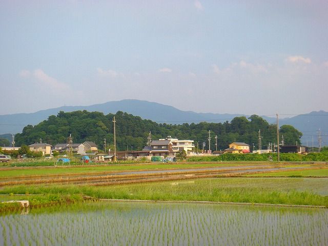イメージ 1