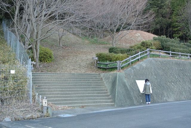 イメージ 1