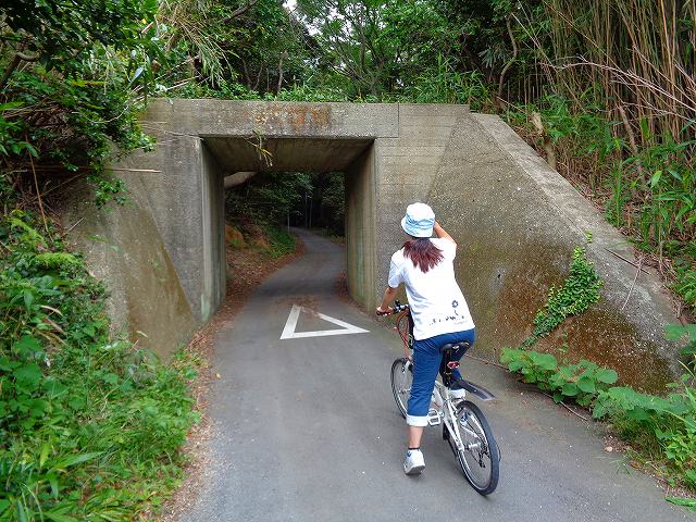 イメージ 12