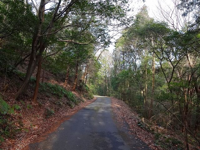 イメージ 3
