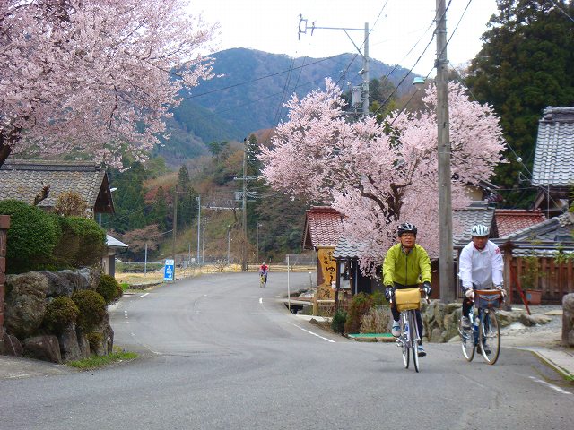 イメージ 8