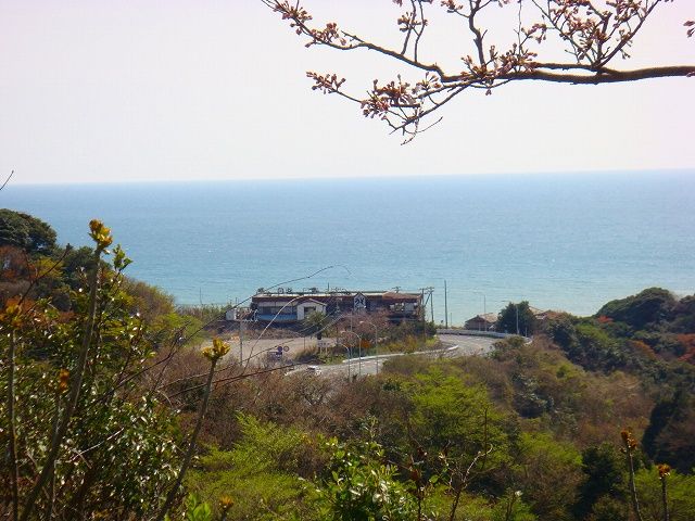 イメージ 9