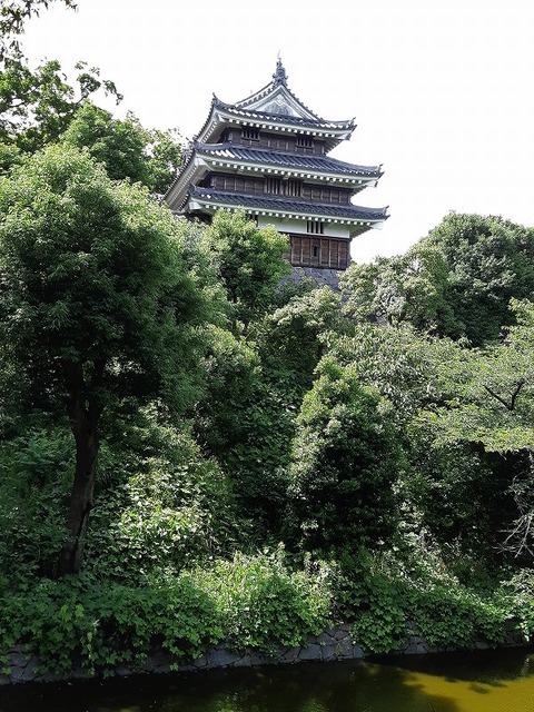 s-20200621_141055 (2)