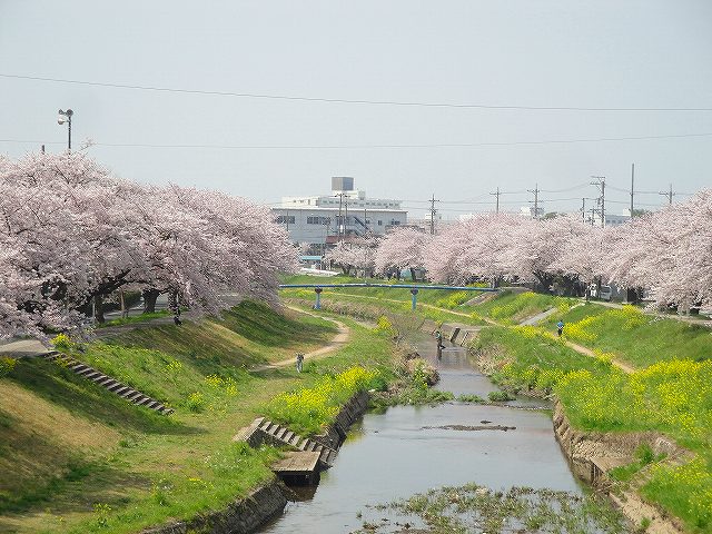 イメージ 1
