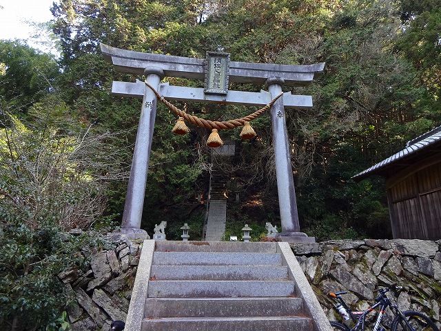 イメージ 3