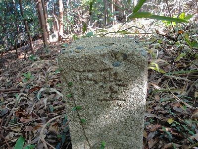 イメージ 13