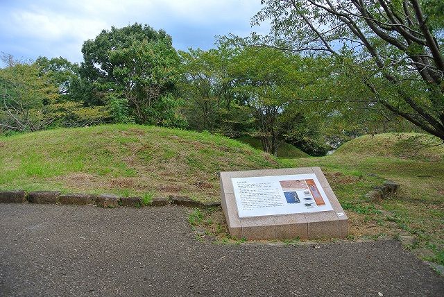 イメージ 4
