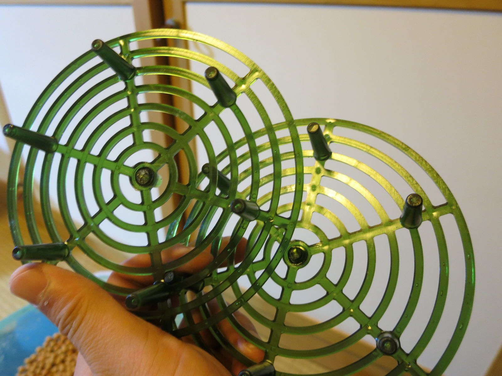 ピッカピカに 新水槽立ち上げパート7 濾過編 してやんよ コリ好きどっとこむ