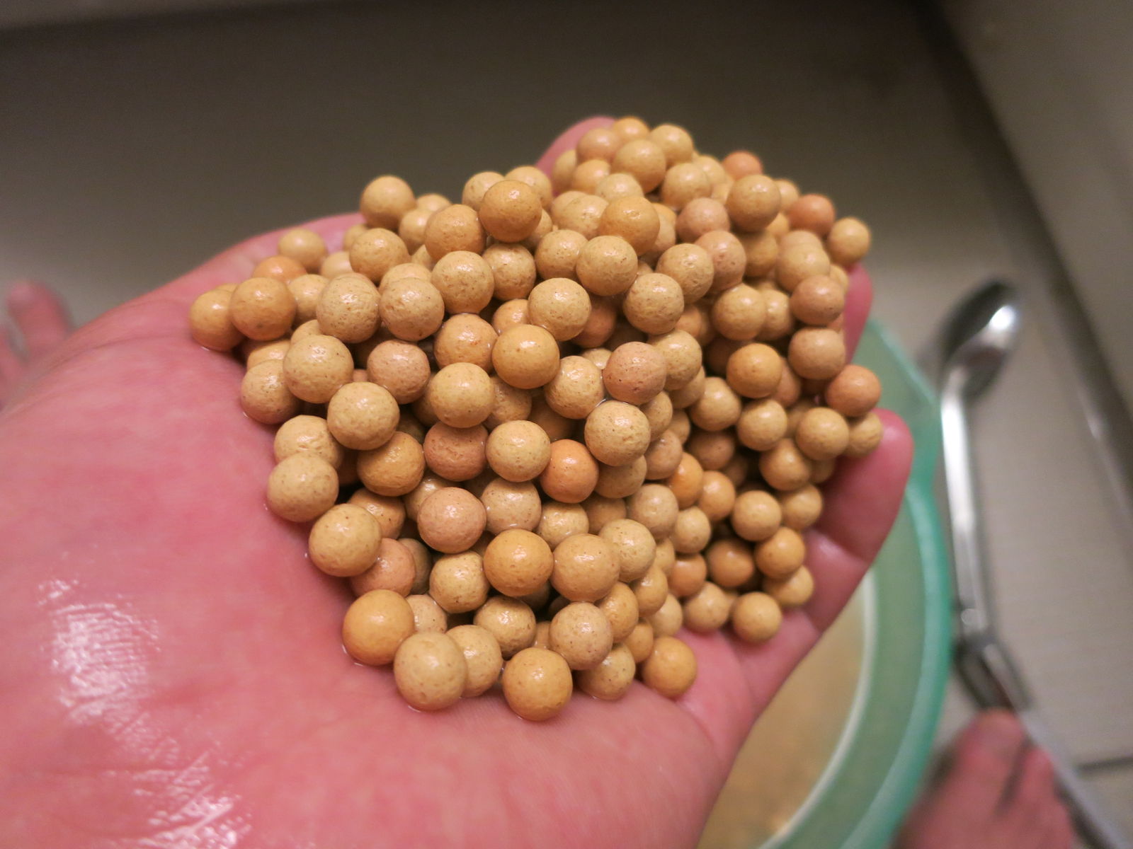 ピッカピカに 新水槽立ち上げパート7 濾過編 してやんよ コリ好きどっとこむ