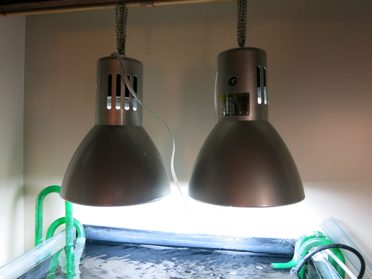 我が名はヴォルテス カミハタ光の使者である コリ好きどっとこむ