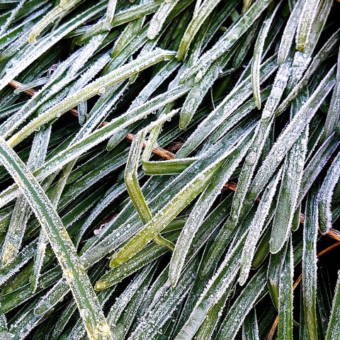 IMG_20210113_112403