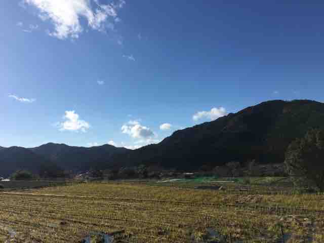 18日目 Toeicリスニングの要 日常会話にも役立つpart２勉強法 宇野なおみの解体心書