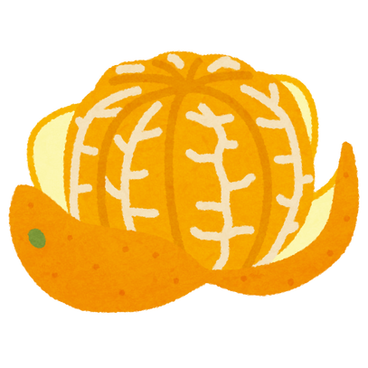 fruit_mikan_kawa