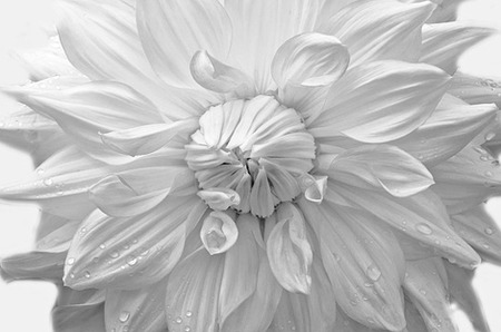 愛され女子の条件　体にもイイ3つのこと