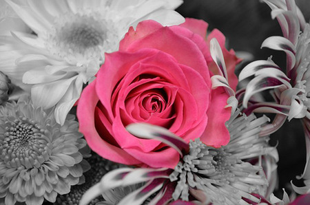 気になるあの人の印象は