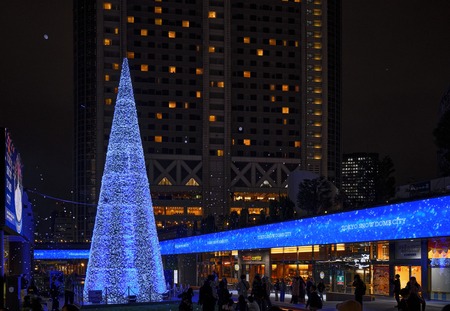 WONDER SNOW TREE(2)